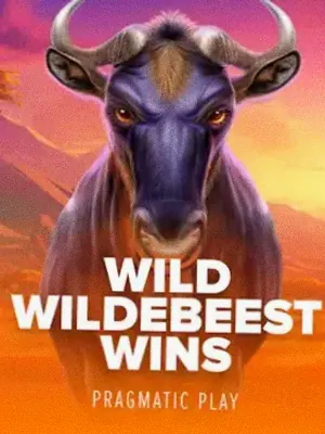 Wild Wildebeest Wins at Bof