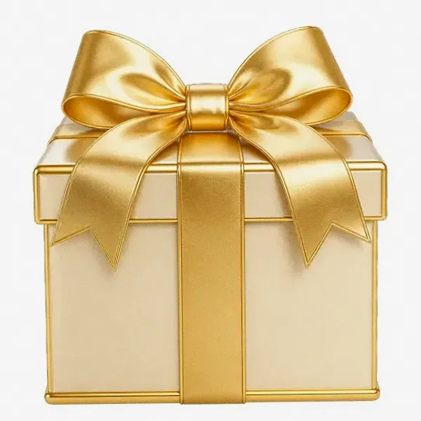 Wrapped gift box — Bof